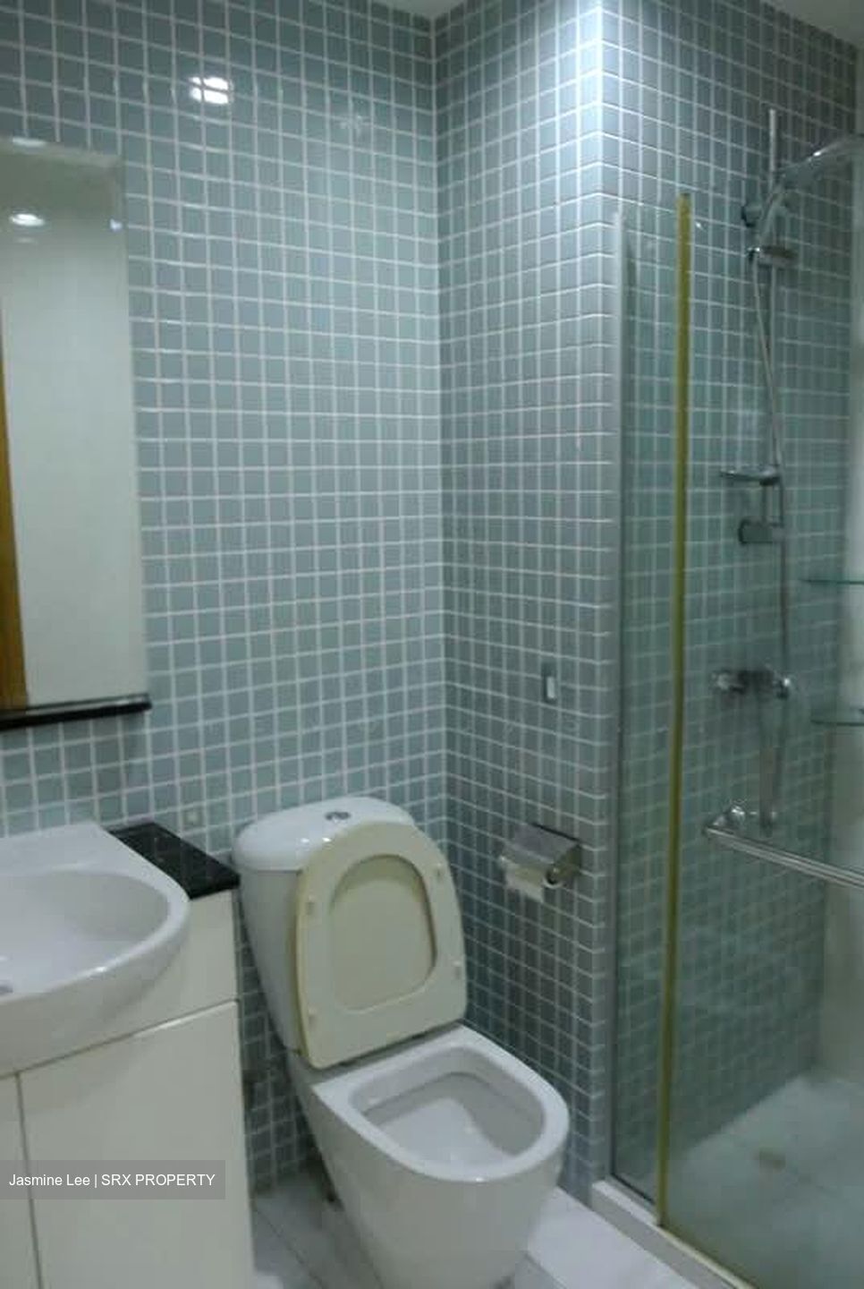 The Jade (D23), Condominium #569350721